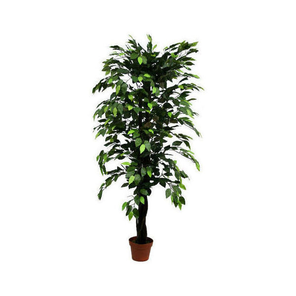 ΔΕΝΤΡΟ ΜΠΕΝΖΑΜΙΝ ΠΡΑΣΙΝΟ ΣΕ ΓΛΑΣΤΡΑ – Y150cm  MARHOME 04-10033-1